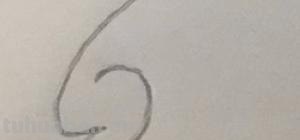 老鼠怎么画 简笔画（老鼠怎么画简笔画7加2）