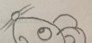 老鼠怎么画 简笔画（老鼠怎么画简笔画7加2）