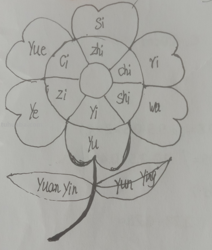 思维导图怎么画一年级（思维导图怎么画一年级下册）