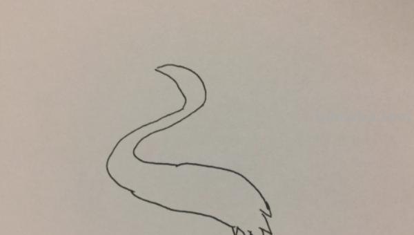 什么的简笔画(十万个为什么的简笔画) 什么的简笔画(十万个为什么的简笔画)