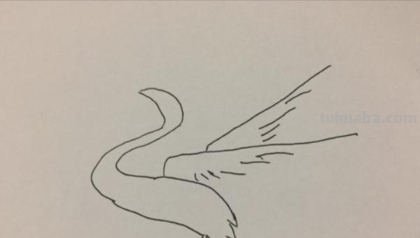 什么的简笔画(十万个为什么的简笔画) 什么的简笔画(十万个为什么的简笔画)