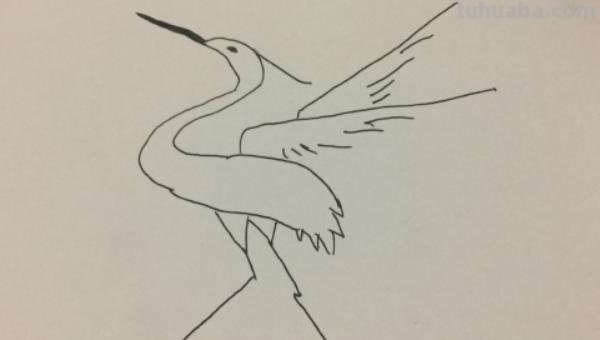 什么的简笔画(十万个为什么的简笔画) 什么的简笔画(十万个为什么的简笔画)