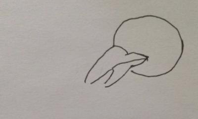 什么的简笔画(十万个为什么的简笔画) 什么的简笔画(十万个为什么的简笔画)