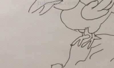 什么的简笔画(十万个为什么的简笔画) 什么的简笔画(十万个为什么的简笔画)