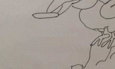 什么的简笔画(十万个为什么的简笔画) 什么的简笔画(十万个为什么的简笔画)