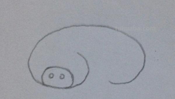 猪怎么画简笔画（可爱的小猪怎么画简笔画）