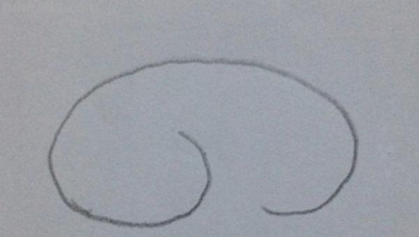 猪怎么画简笔画（可爱的小猪怎么画简笔画）