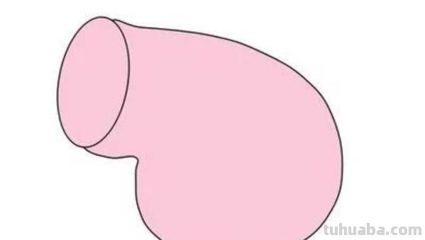 猪怎么画简笔画（可爱的小猪怎么画简笔画）