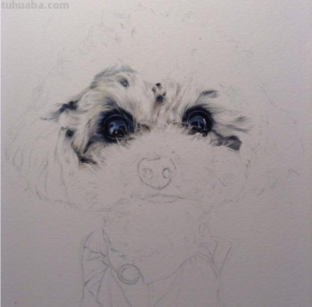 彩铅动物毛发怎么画（彩铅动物毛发怎么画好看）