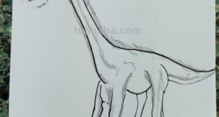 简笔画的龙怎么画（简笔画的龙怎么画 中国）