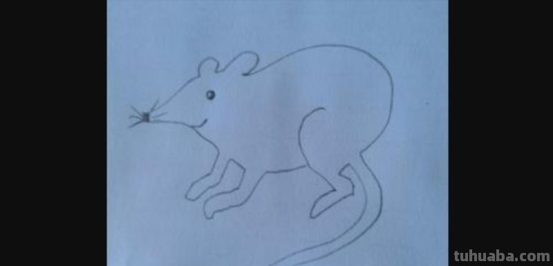 老鼠简笔画怎么画（猫抓老鼠简笔画怎么画）