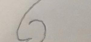 老鼠简笔画怎么画（猫抓老鼠简笔画怎么画）