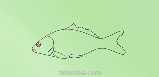 简笔画的鱼怎么画（简笔画的鱼怎么画好）