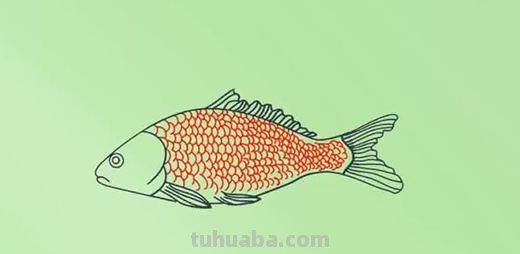 简笔画的鱼怎么画（简笔画的鱼怎么画好）