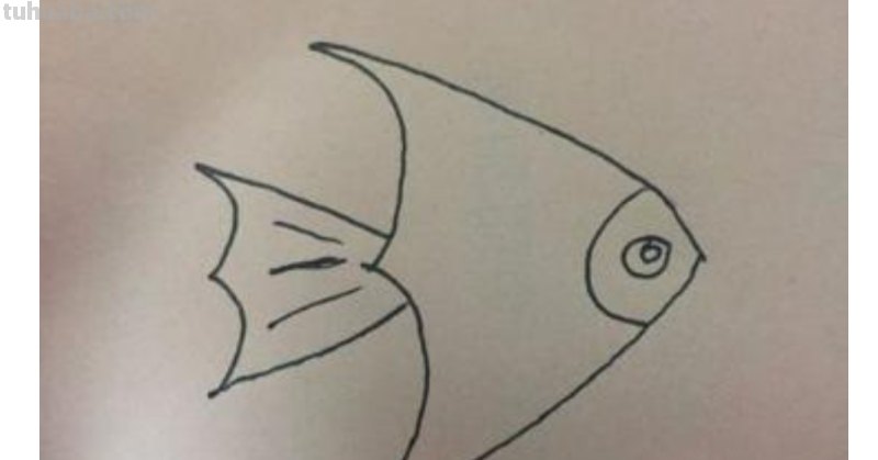 简笔画的鱼怎么画（简笔画的鱼怎么画好）