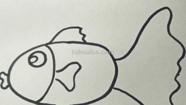 简笔画的鱼怎么画（简笔画的鱼怎么画好）