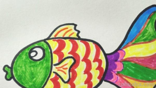 简笔画的鱼怎么画（简笔画的鱼怎么画好）