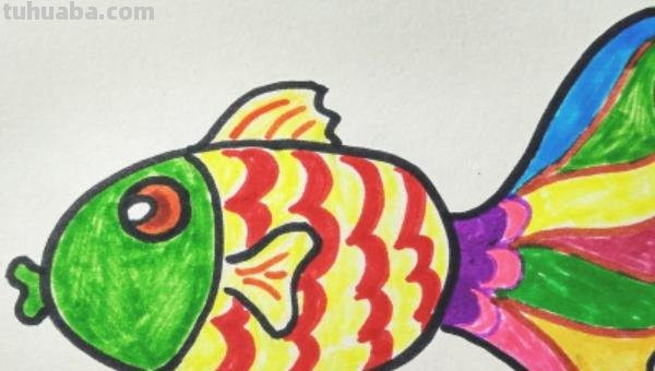 简笔画的鱼怎么画（简笔画的鱼怎么画好）