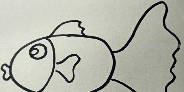 简笔画的鱼怎么画（简笔画的鱼怎么画好）