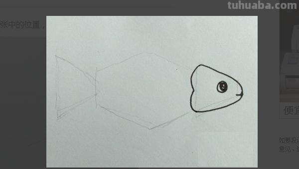 简笔画的鱼怎么画（简笔画的鱼怎么画好）