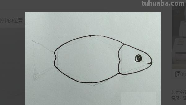 简笔画的鱼怎么画（简笔画的鱼怎么画好）