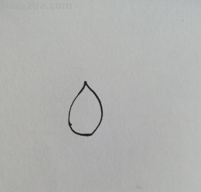 荷花怎么画简笔画（荷花怎么画简笔画又漂亮）