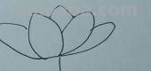 荷花怎么画简笔画(荷花怎么画简笔画又漂亮) 荷花怎么画简笔画(荷花怎么画简笔画又漂亮)
