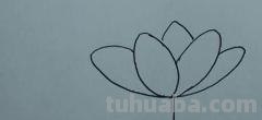 荷花怎么画简笔画(荷花怎么画简笔画又漂亮) 荷花怎么画简笔画(荷花怎么画简笔画又漂亮)
