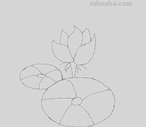 荷花怎么画简笔画(荷花怎么画简笔画又漂亮) 荷花怎么画简笔画(荷花怎么画简笔画又漂亮)