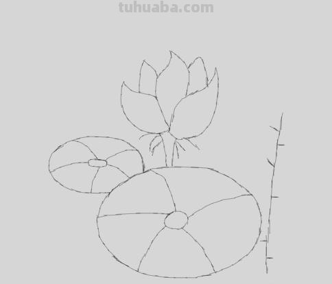 荷花怎么画简笔画(荷花怎么画简笔画又漂亮) 荷花怎么画简笔画(荷花怎么画简笔画又漂亮)