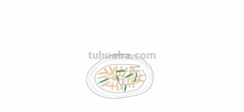食物怎么画简笔画（简单的食物怎么画简笔画）