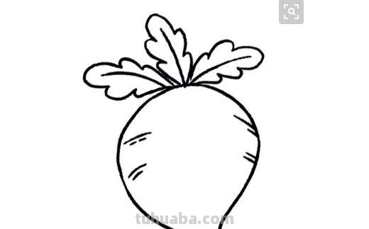 食物怎么画简笔画（简单的食物怎么画简笔画）