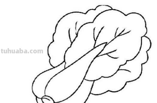 食物怎么画简笔画（简单的食物怎么画简笔画）