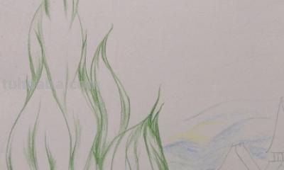 用彩铅画什么画（用彩铅画什么画好看）