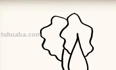 白菜怎么画 彩铅（白菜怎么画彩铅）