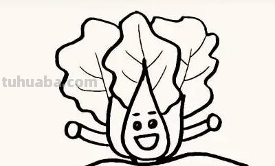 白菜怎么画 彩铅（白菜怎么画彩铅）