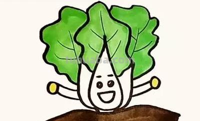 白菜怎么画 彩铅（白菜怎么画彩铅）