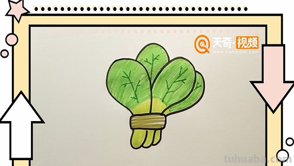 白菜怎么画 彩铅（白菜怎么画彩铅）