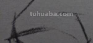 速写侧面鼻子（速写侧面鼻子的画法）