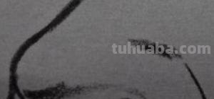 速写侧面鼻子(速写侧面鼻子的画法) 速写侧面鼻子(速写侧面鼻子的画法)