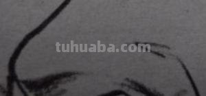 速写侧面鼻子(速写侧面鼻子的画法) 速写侧面鼻子(速写侧面鼻子的画法)