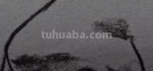 速写侧面鼻子(速写侧面鼻子的画法) 速写侧面鼻子(速写侧面鼻子的画法)