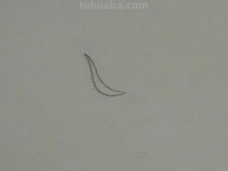 手抄报的花怎么画（禁毒手抄报的花怎么画）