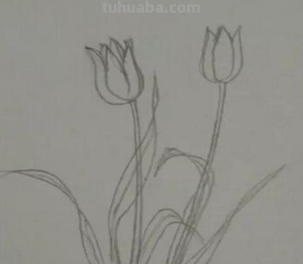 手抄报的花怎么画（禁毒手抄报的花怎么画）