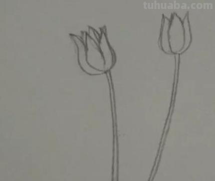 手抄报的花怎么画（禁毒手抄报的花怎么画）