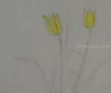 手抄报的花怎么画（禁毒手抄报的花怎么画）