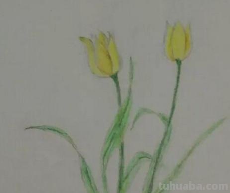 手抄报的花怎么画（禁毒手抄报的花怎么画）