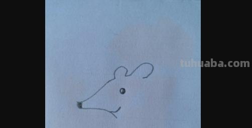 老鼠怎么画简笔画（老鼠怎么画简笔画7加2）