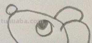 老鼠怎么画简笔画（老鼠怎么画简笔画7加2）