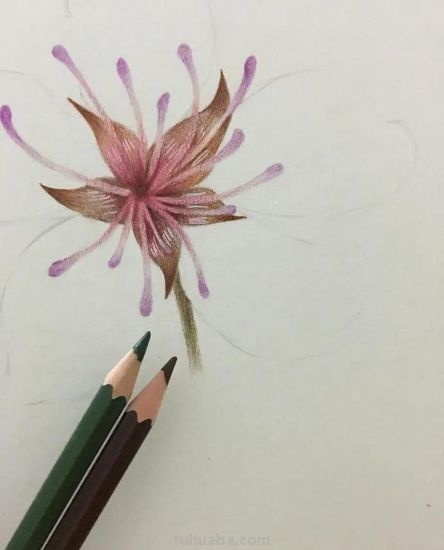 怎么画水溶彩铅画（怎么画水溶彩铅画图片）